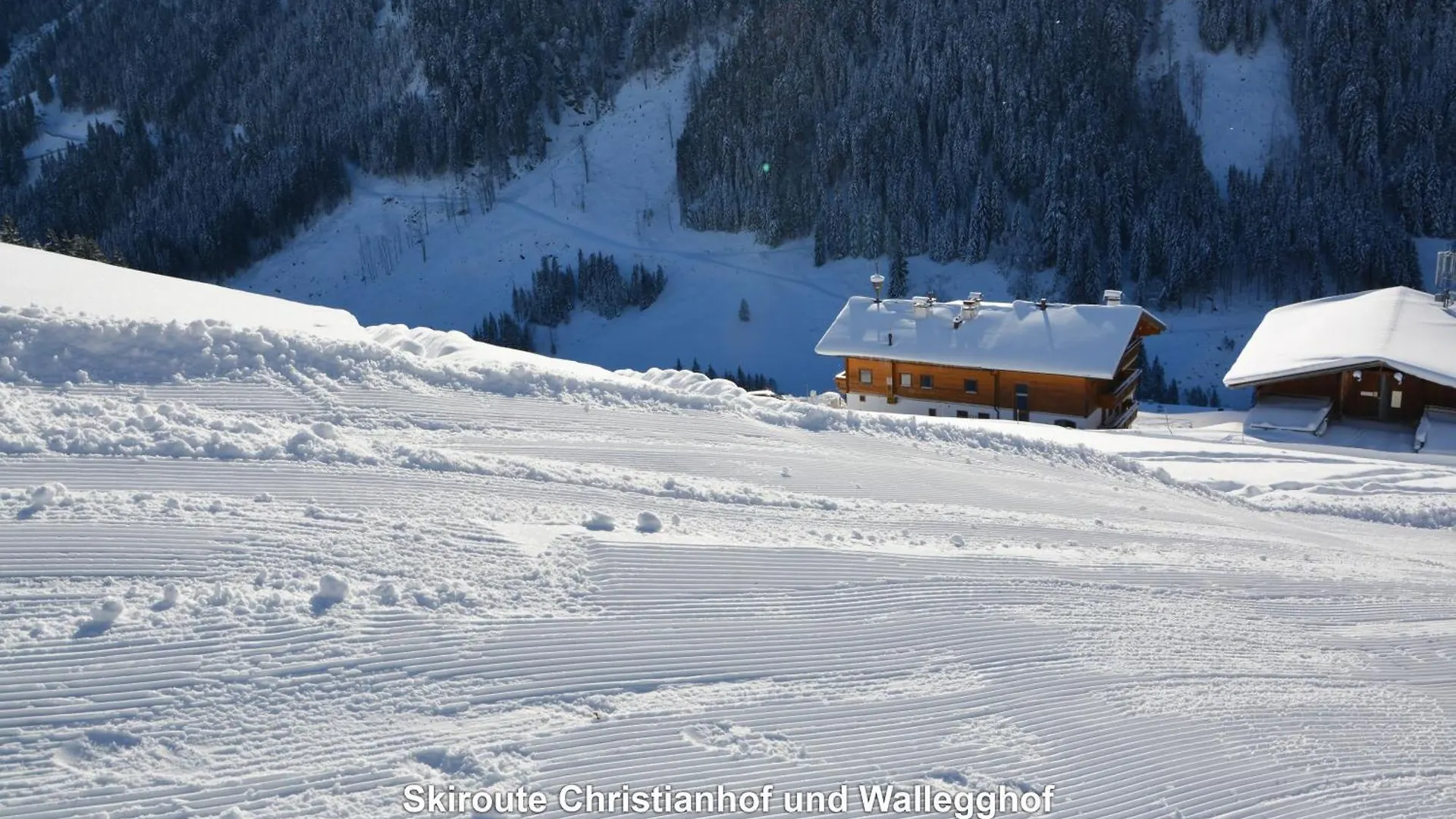 Ski In / Ski Out - Gästehäuser Saalbach